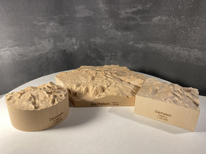 SUMMIT – Bergrelief Hoher Dachstein