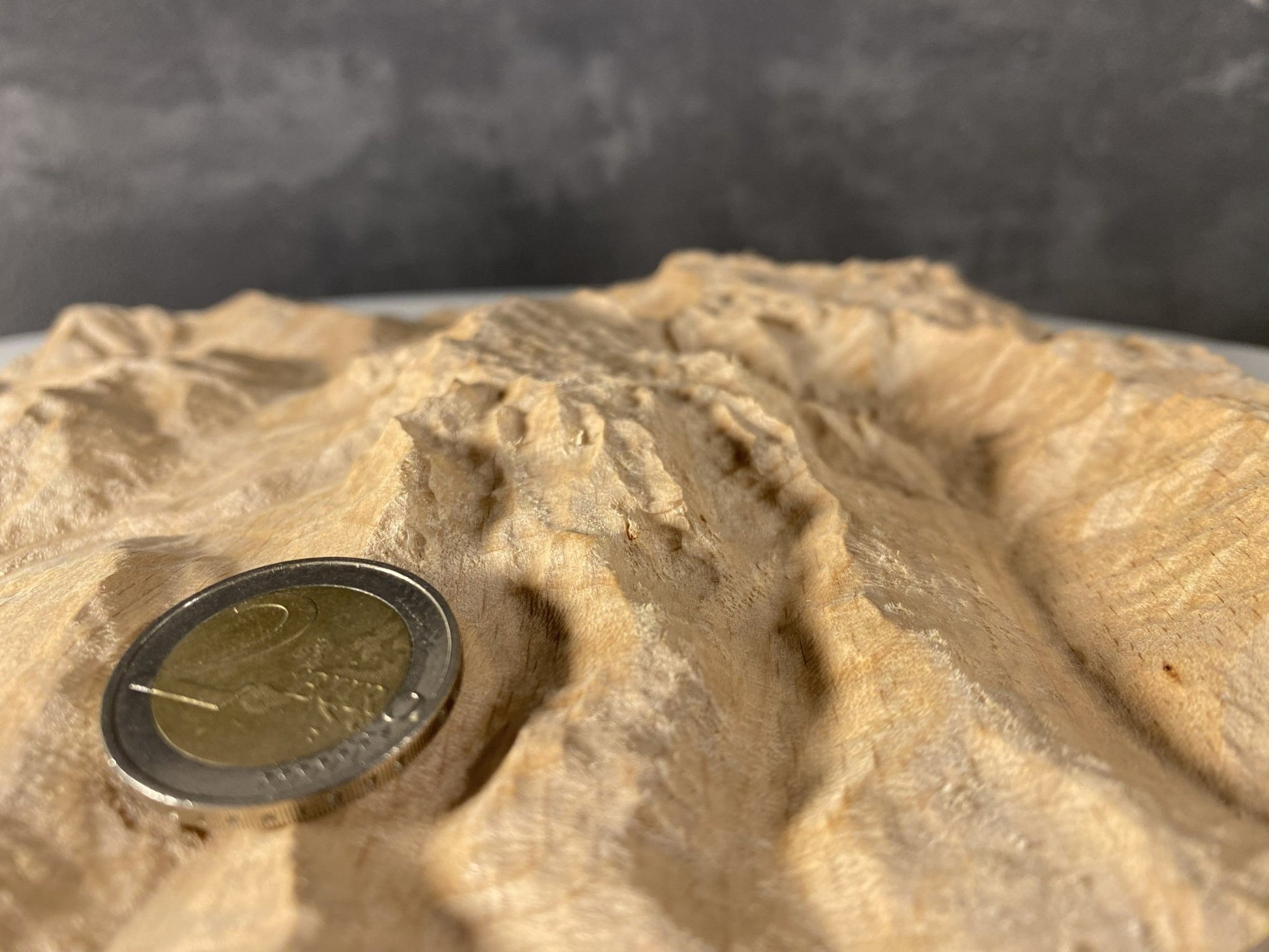 SUMMIT – Bergrelief Hochkönig - TreeDimension