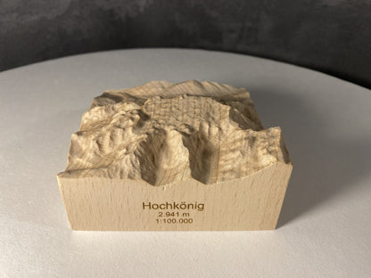 SUMMIT – Bergrelief Hochkönig - TreeDimension