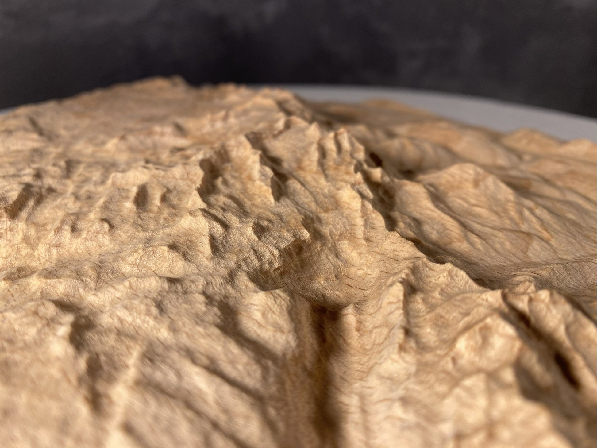 SUMMIT – Bergrelief Hoher Dachstein - TreeDimension