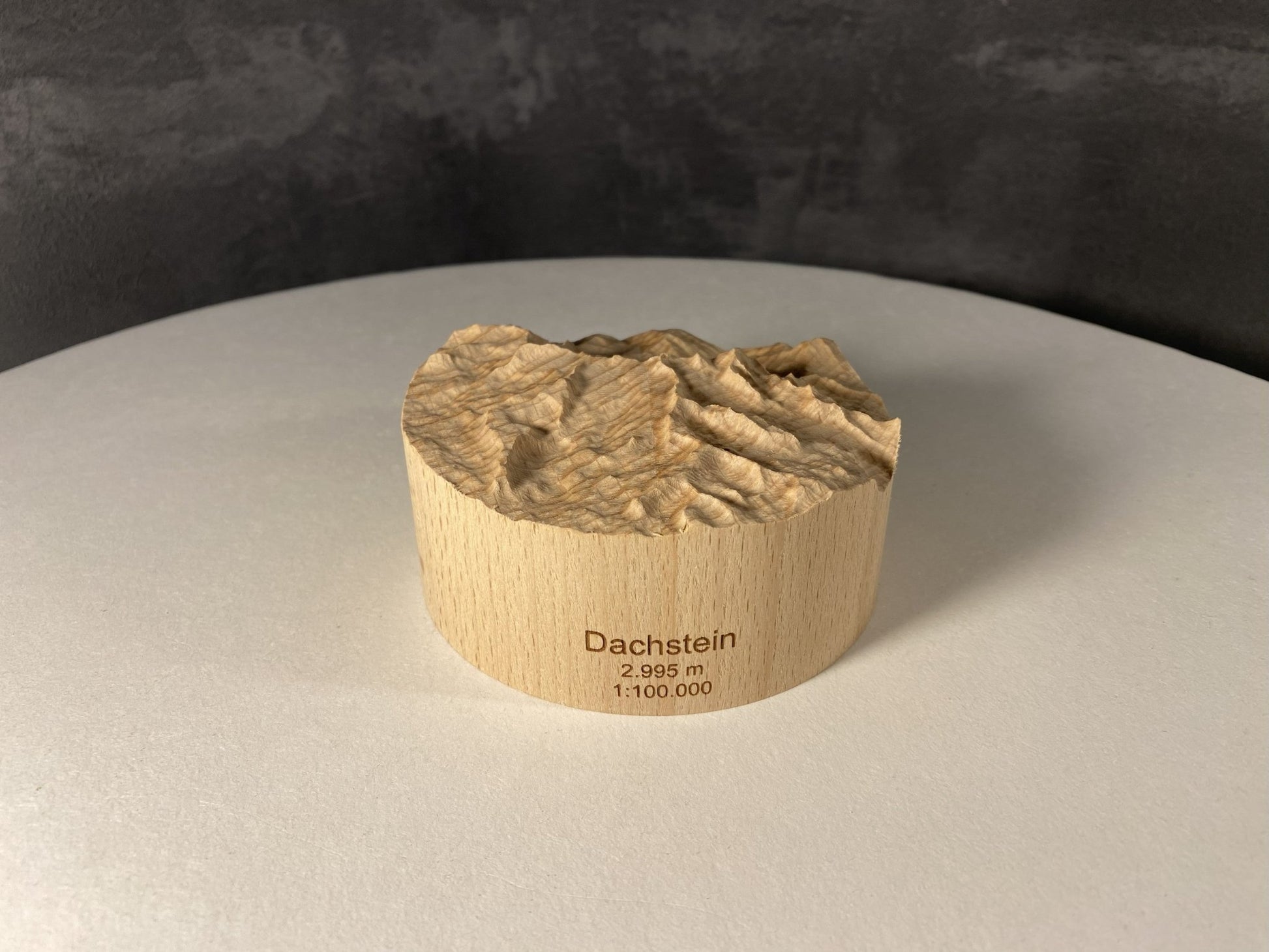 SUMMIT – Bergrelief Hoher Dachstein - TreeDimension