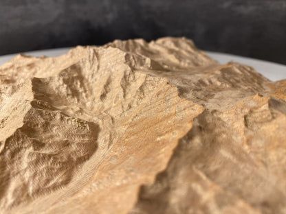 SUMMIT - Bergrelief Monte Rosa (Dufourspitze) - TreeDimension