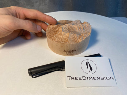 SUMMIT - Bergrelief Zugspitze - TreeDimension